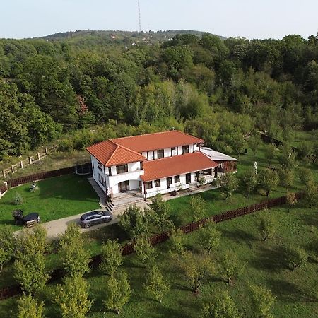 Pensiunea Emelys, Iasi Barnova Zewnętrze zdjęcie