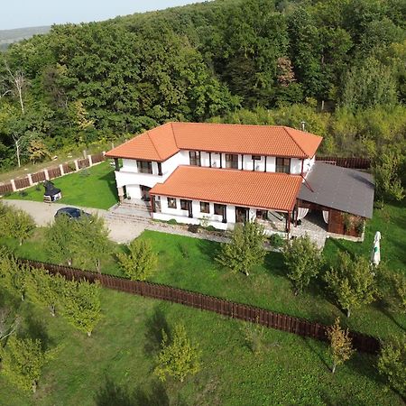 Pensiunea Emelys, Iasi Barnova Zewnętrze zdjęcie