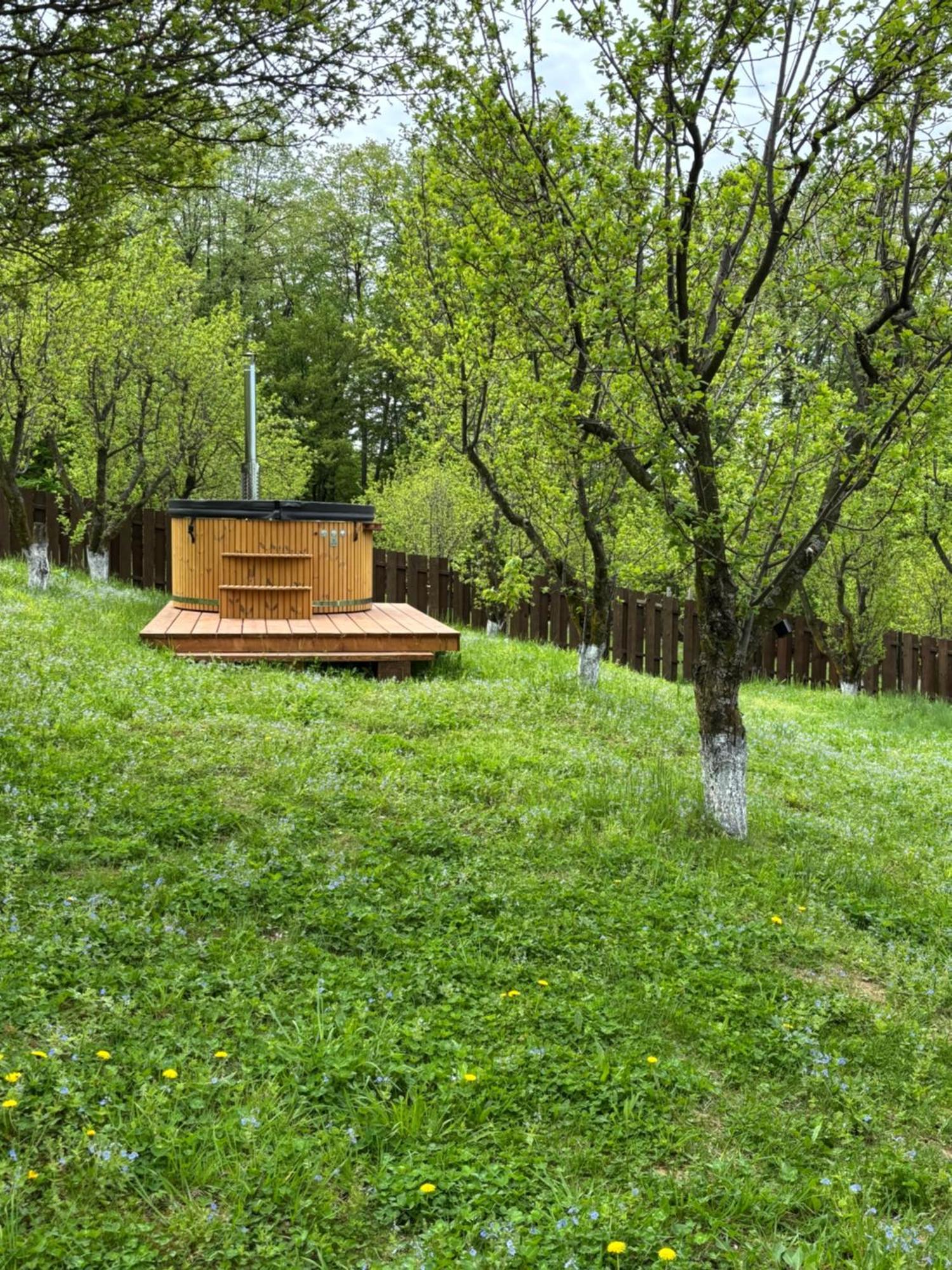 Pensiunea Emelys, Iasi Barnova Zewnętrze zdjęcie