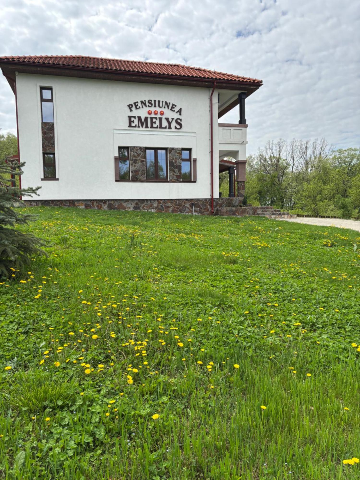 Pensiunea Emelys, Iasi Barnova Zewnętrze zdjęcie